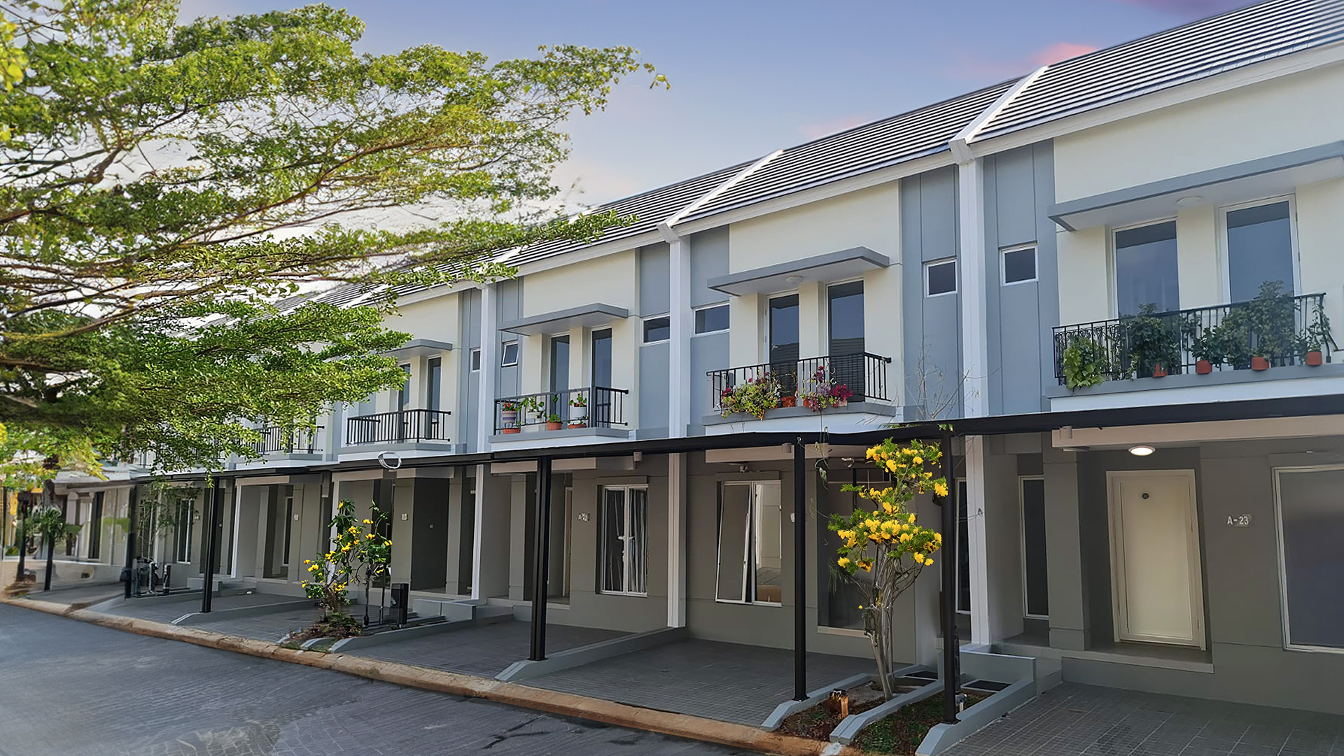 Sunrise Property