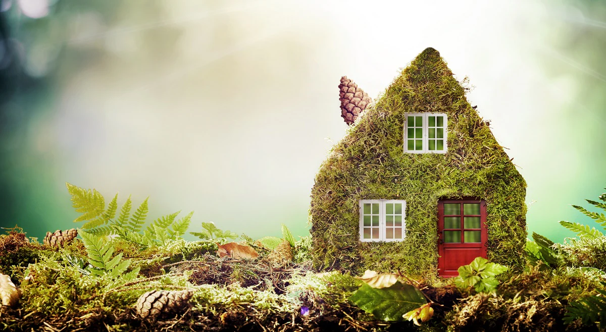 Eco Living
