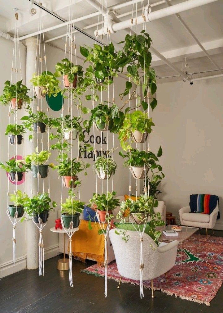 Room Hanging Planter