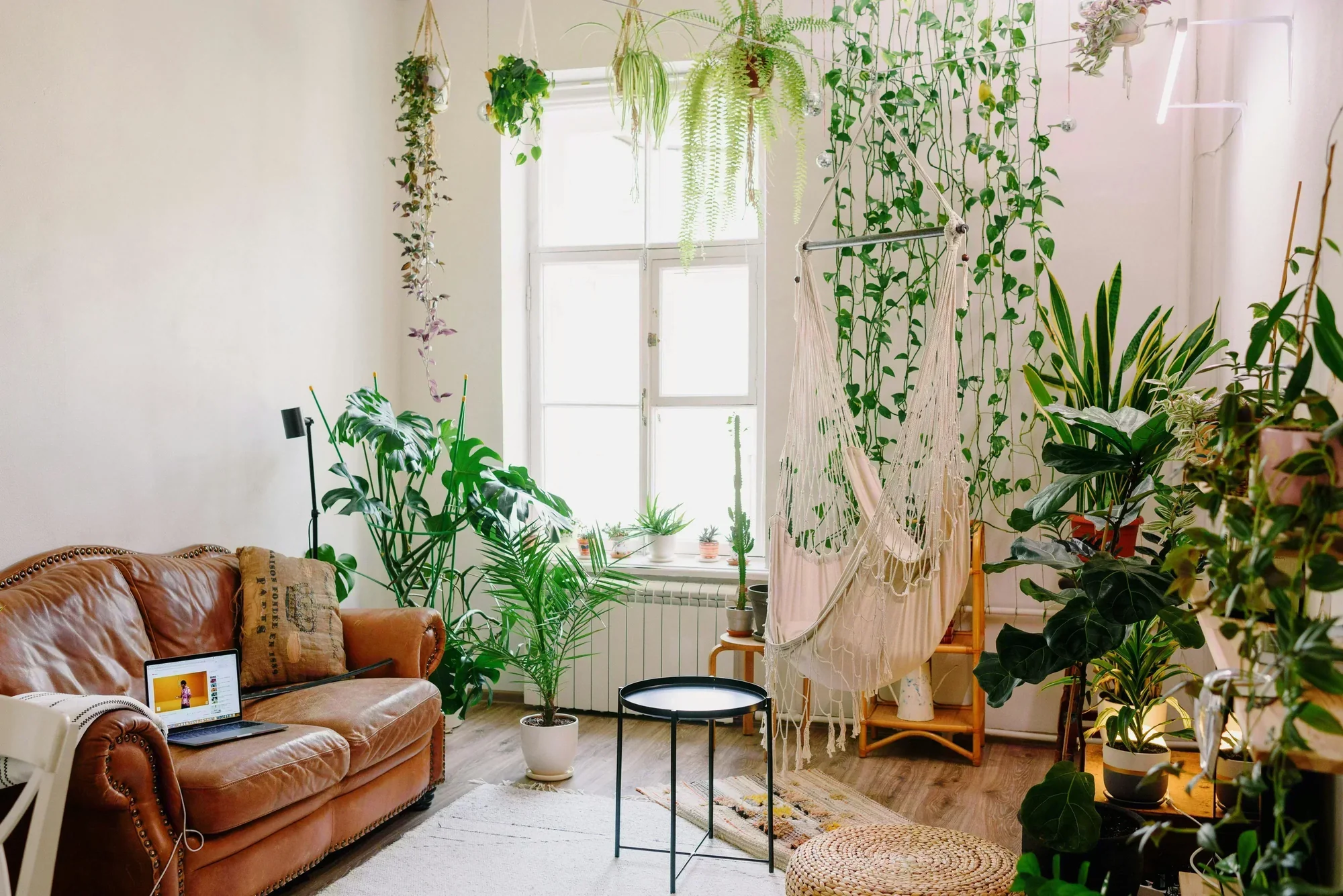 Room Hanging Planter