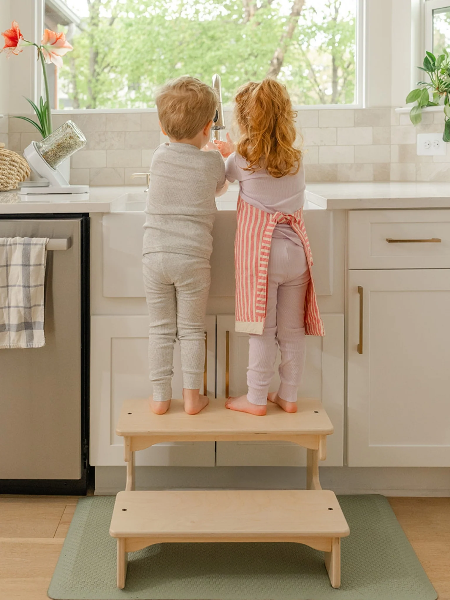 Step Stool